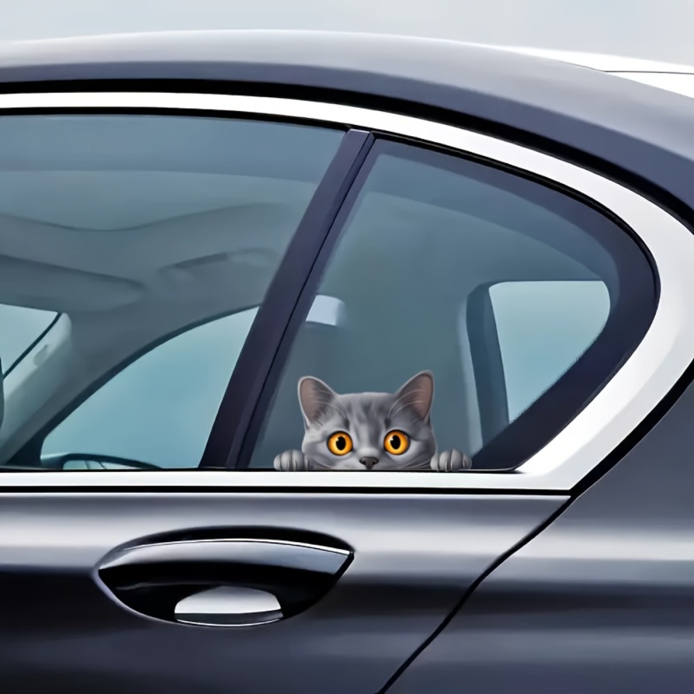 A Small Gray Cat Cute Car Lapt - Laptop Unique Accessories recensione e prezzo