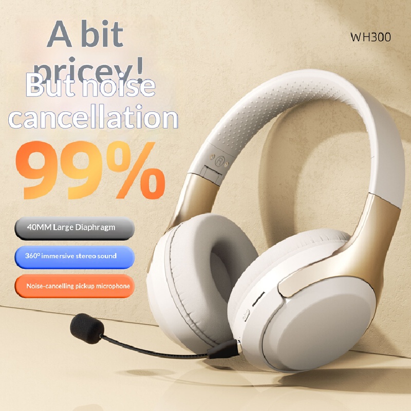Over Ear Wireless Bluetooth He - Laptop Accessories Officeworks recensione e prezzo